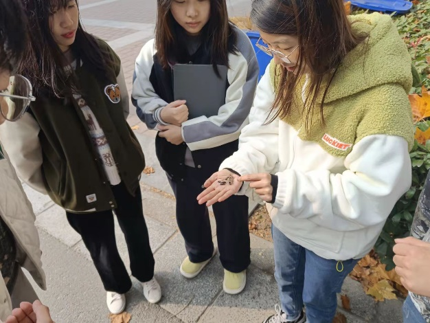 ���ߵ����˿��ֽ�