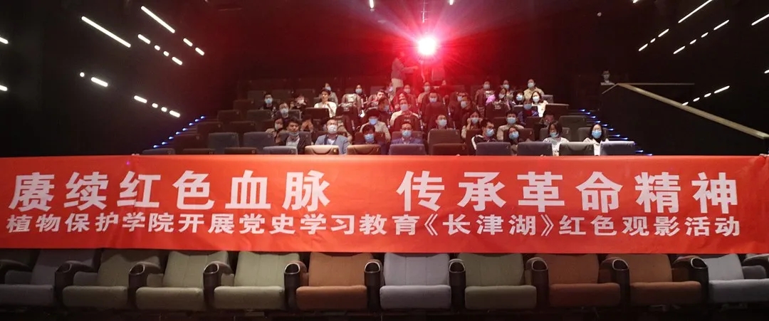 ���ߵ����˿��ֽ�