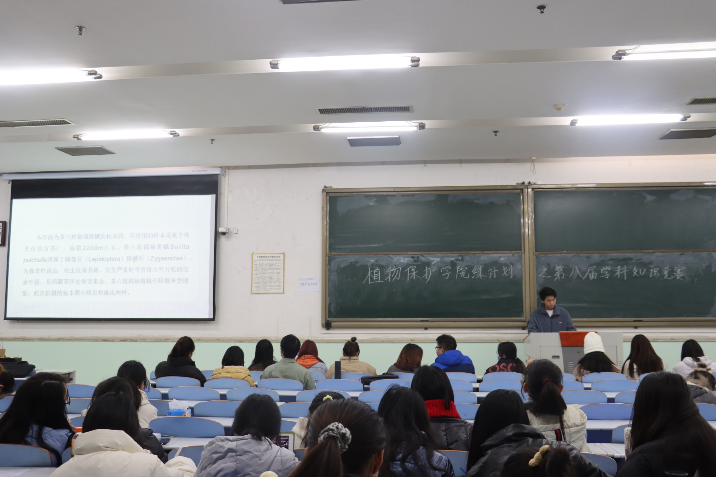 ���ߵ����˿��ֽ�