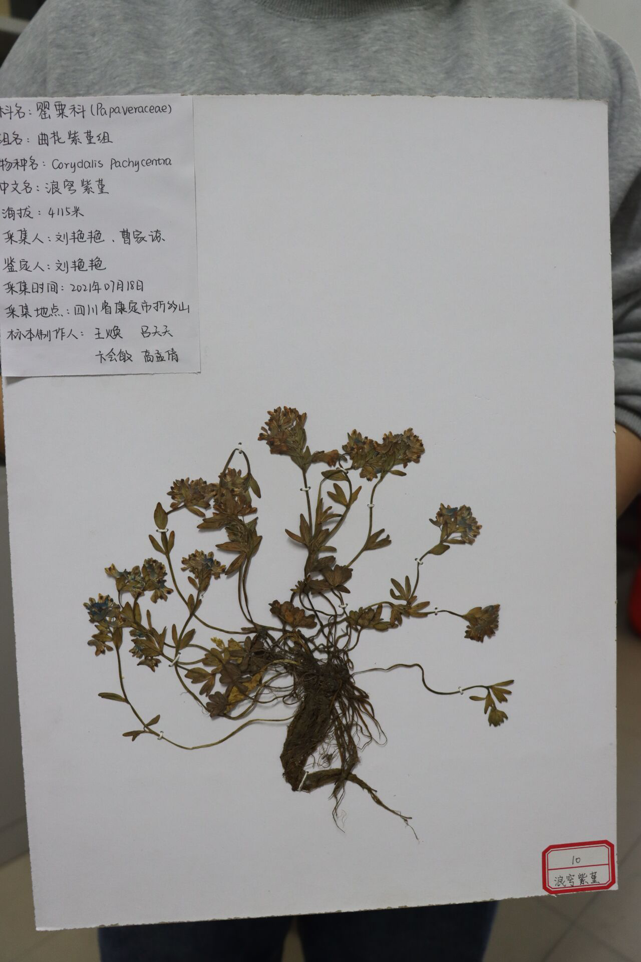 ���ߵ����˿��ֽ�