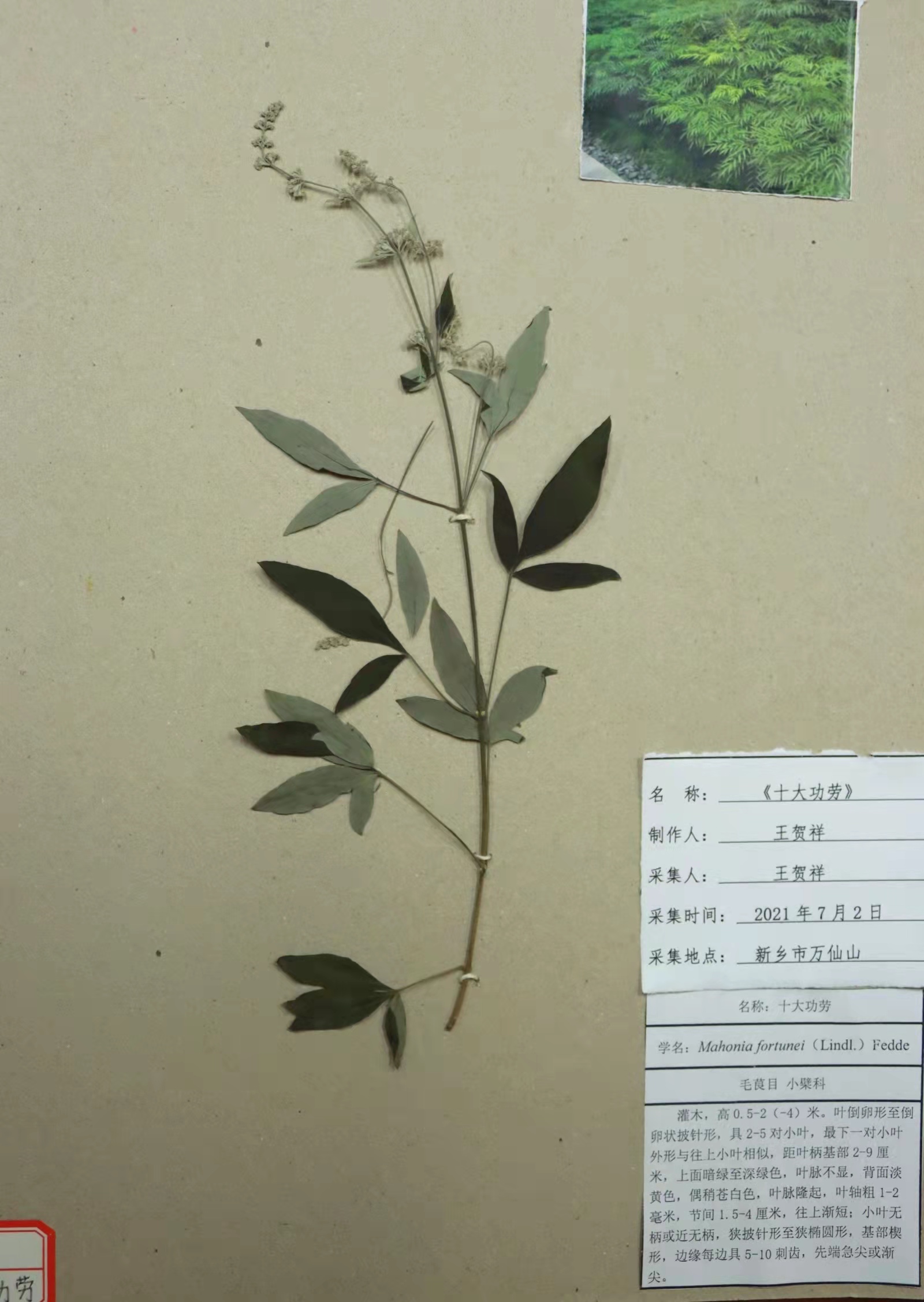 在线德州扑克现金