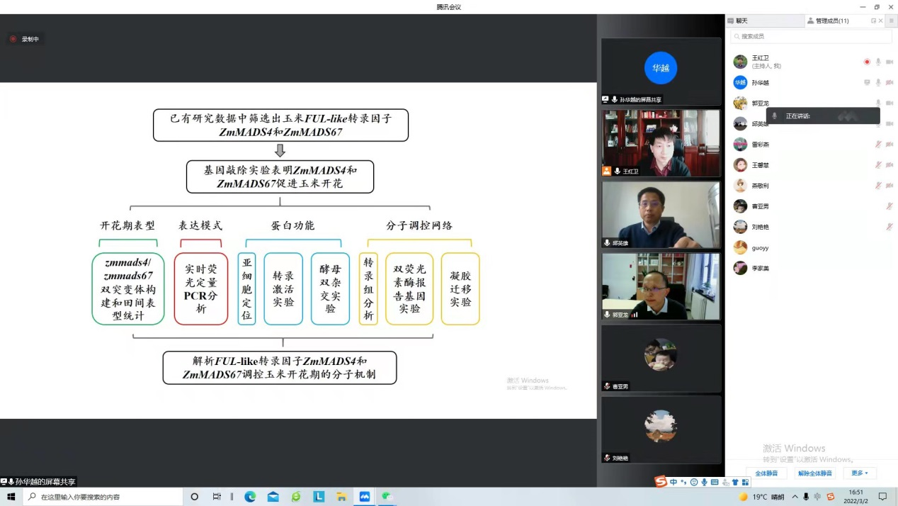 ���ߵ����˿��ֽ�