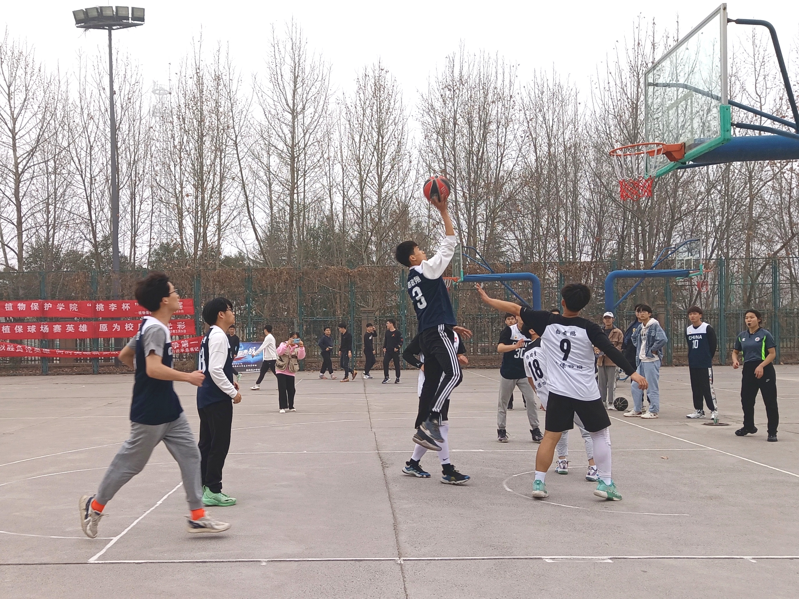 ���ߵ����˿��ֽ�