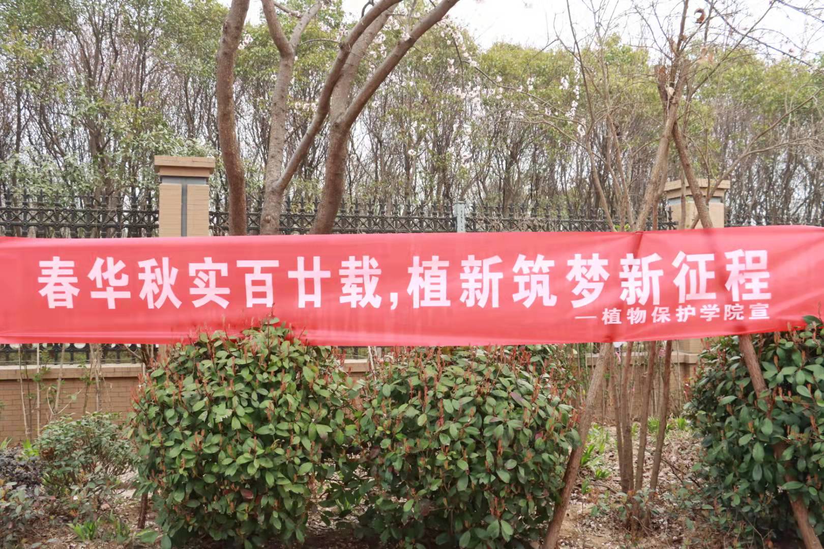 ���ߵ����˿��ֽ�