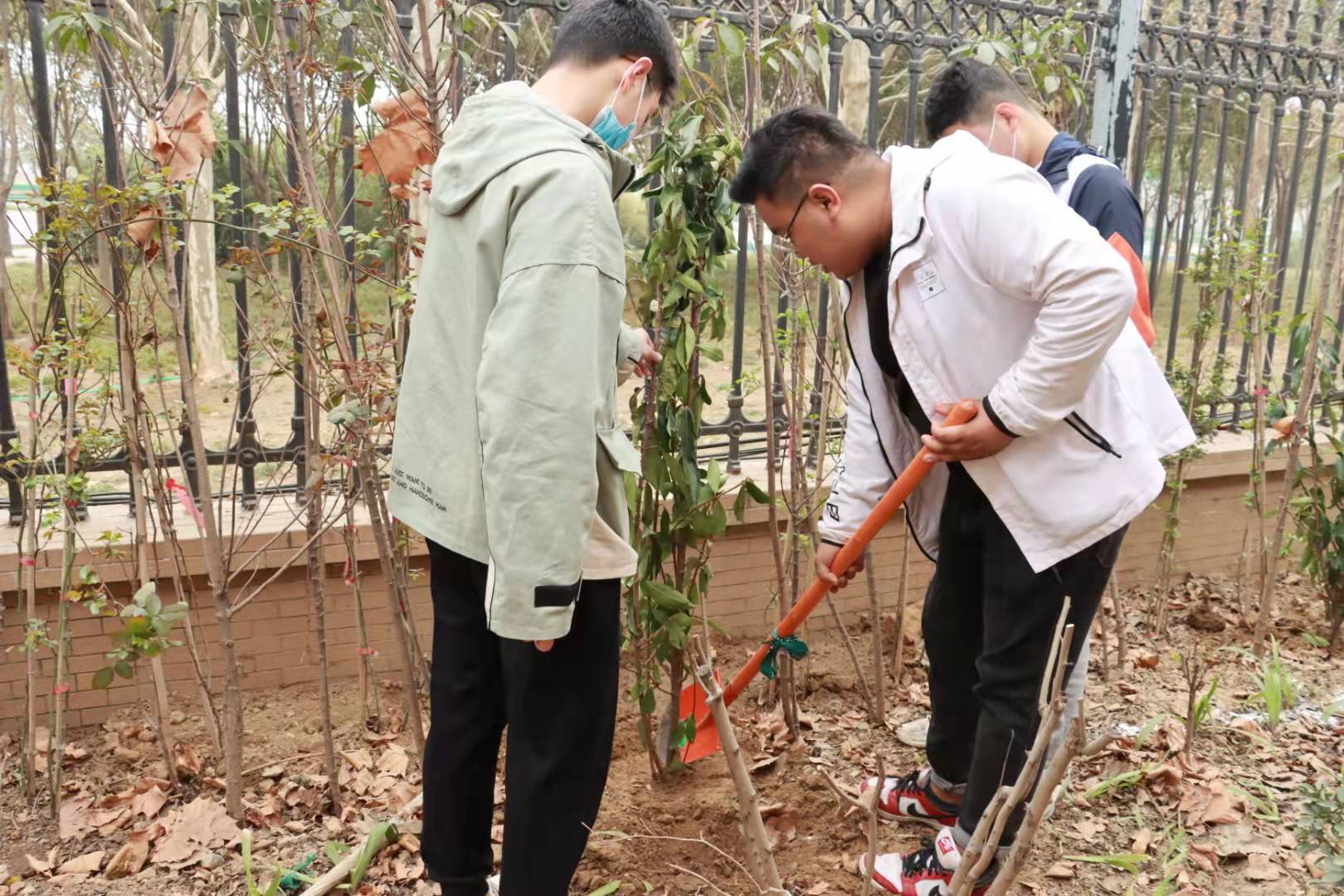 ���ߵ����˿��ֽ�