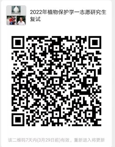 ���ߵ����˿��ֽ�