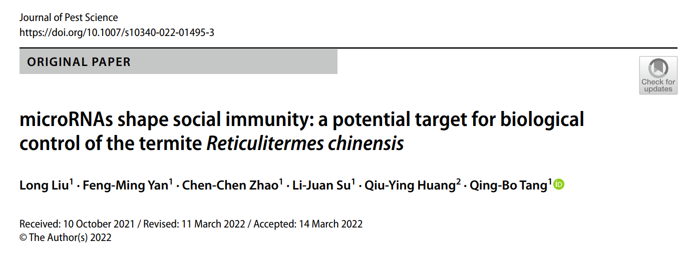 在线德州扑克现金