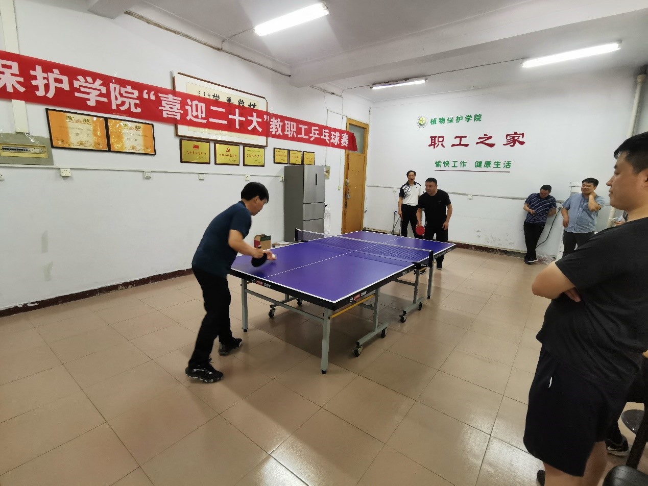 ���ߵ����˿��ֽ�