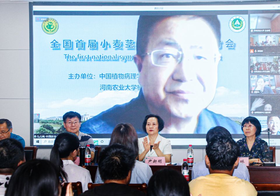 在线德州扑克现金