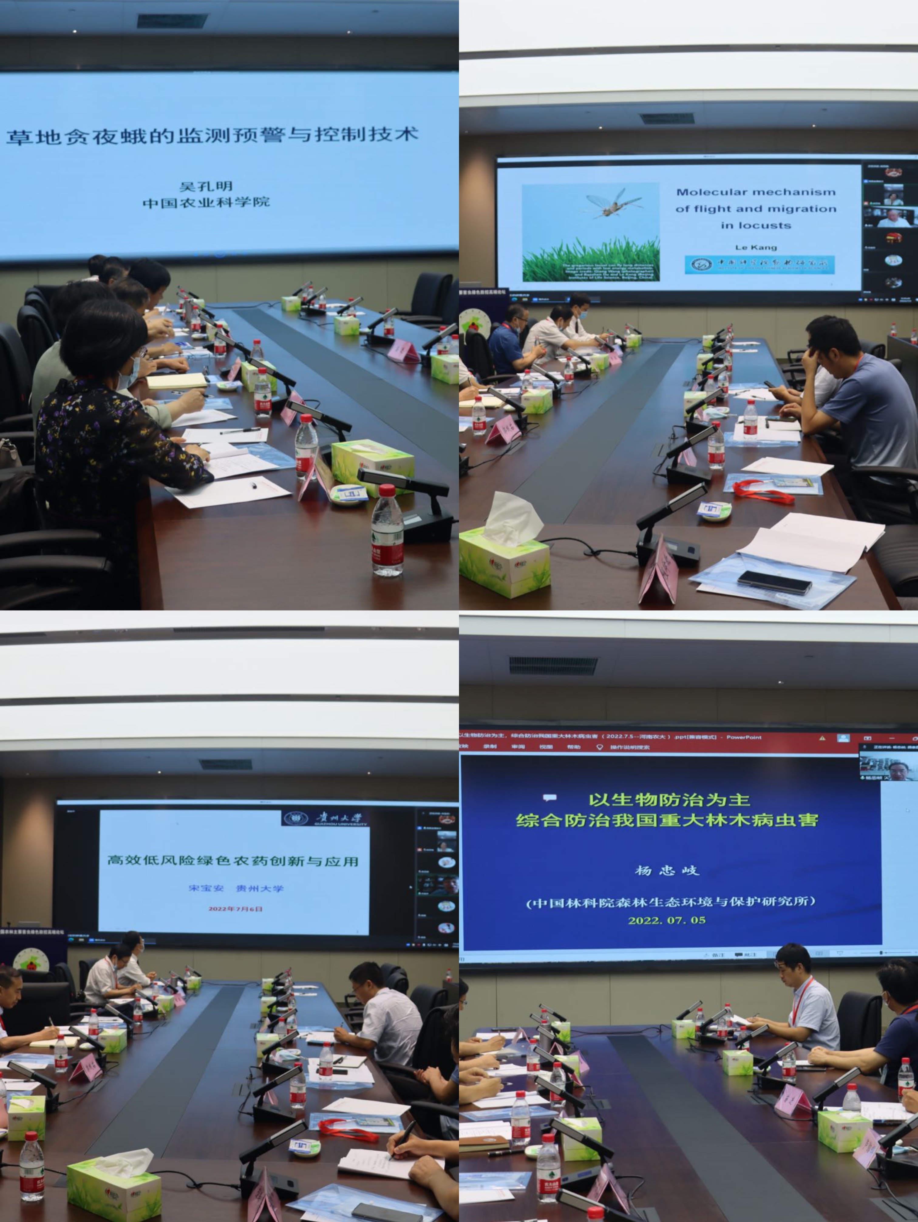 ���ߵ����˿��ֽ�