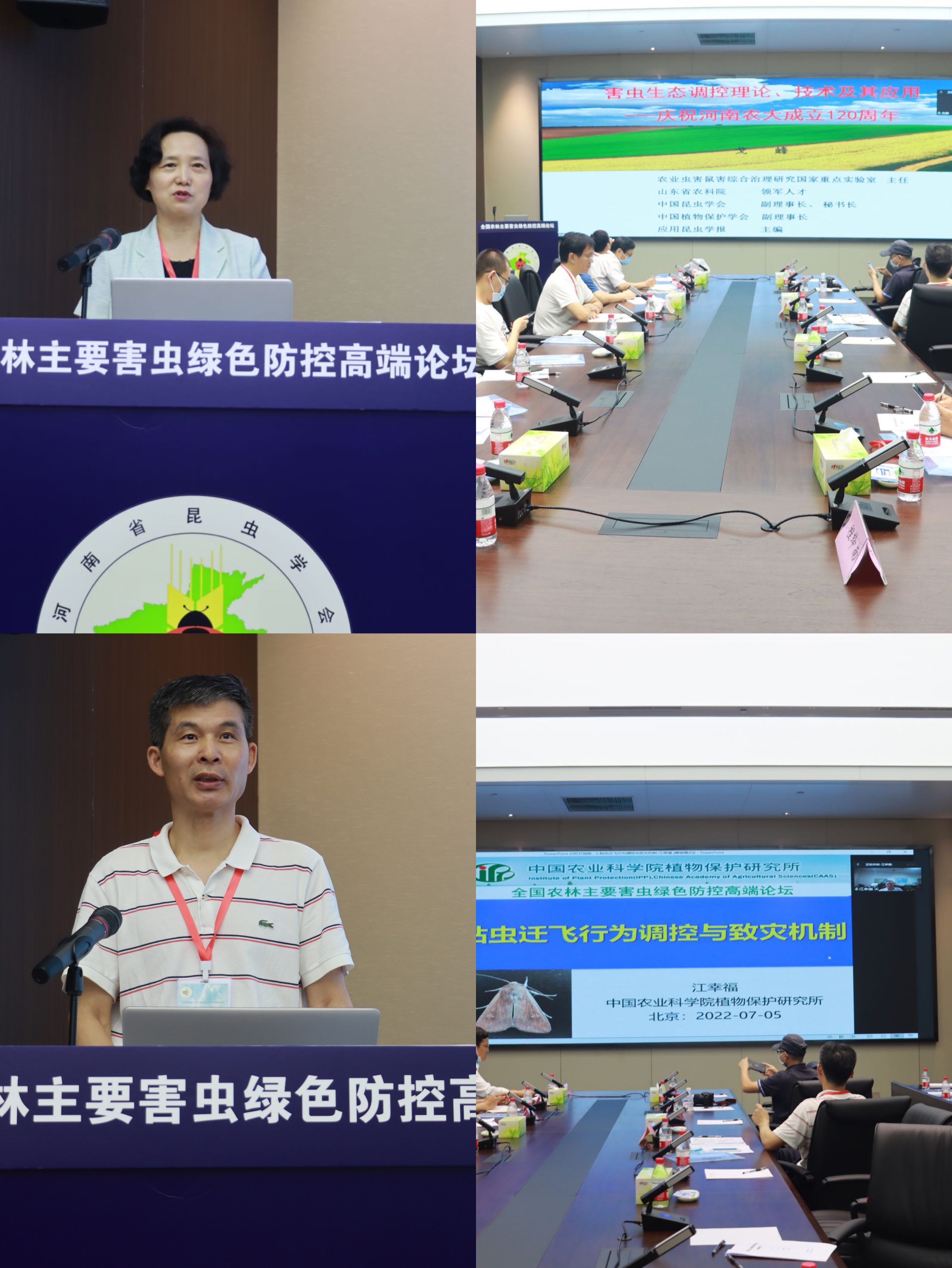 ���ߵ����˿��ֽ�