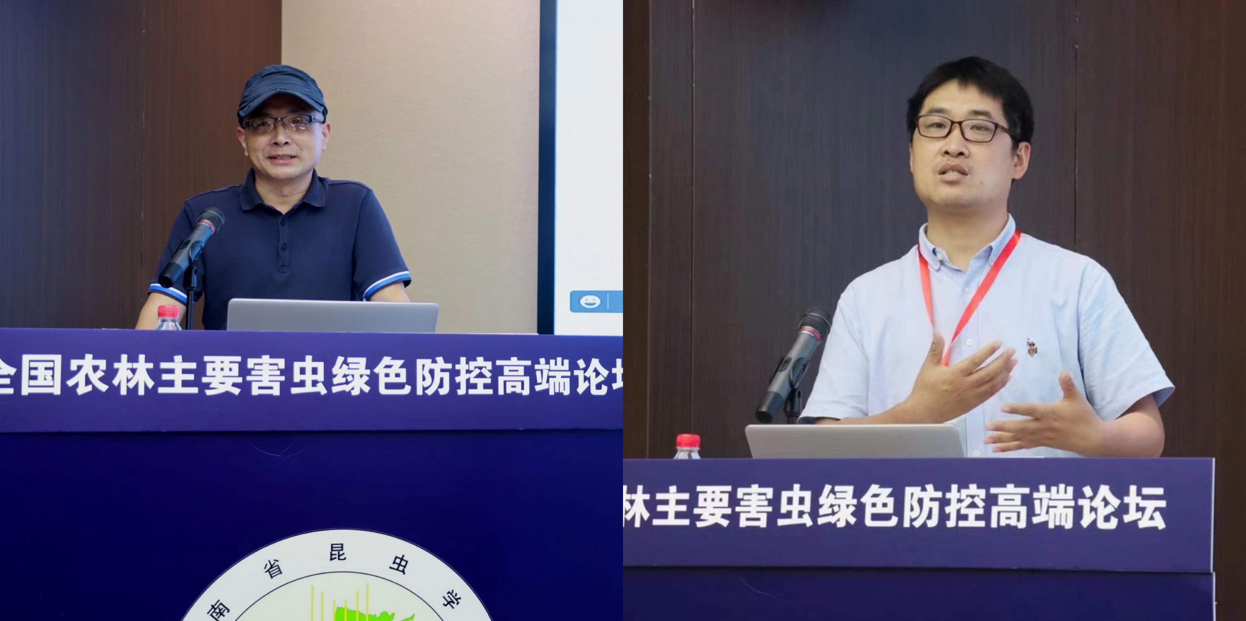 ���ߵ����˿��ֽ�