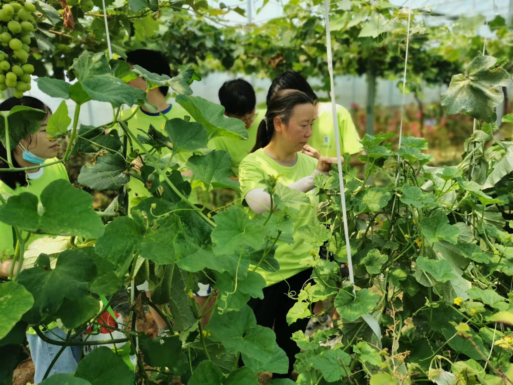 ���ߵ����˿��ֽ�