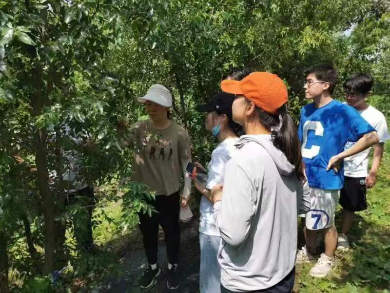 ���ߵ����˿��ֽ�