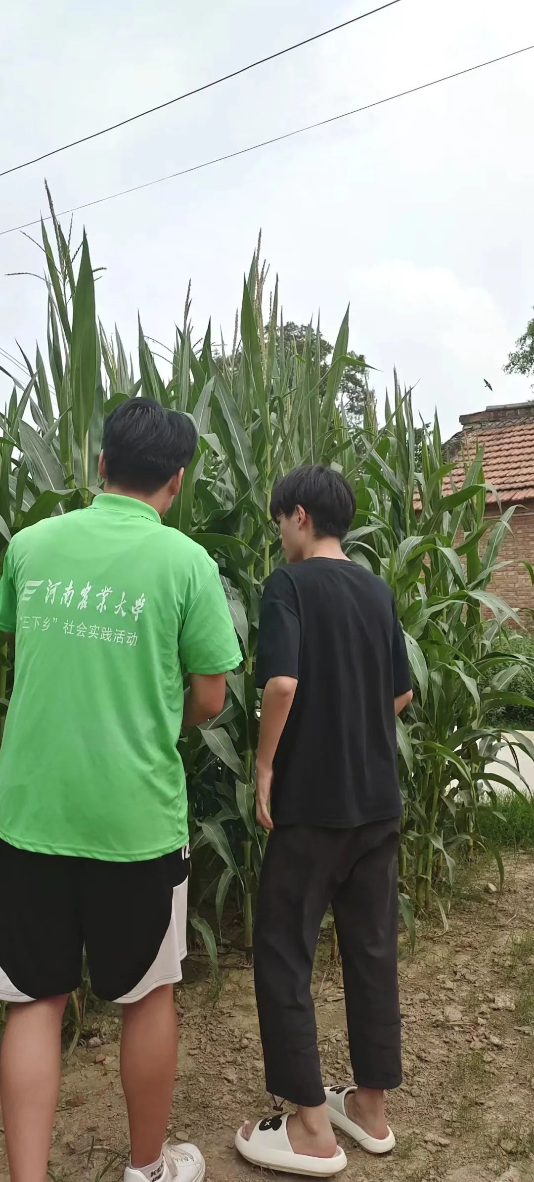 ���ߵ����˿��ֽ�