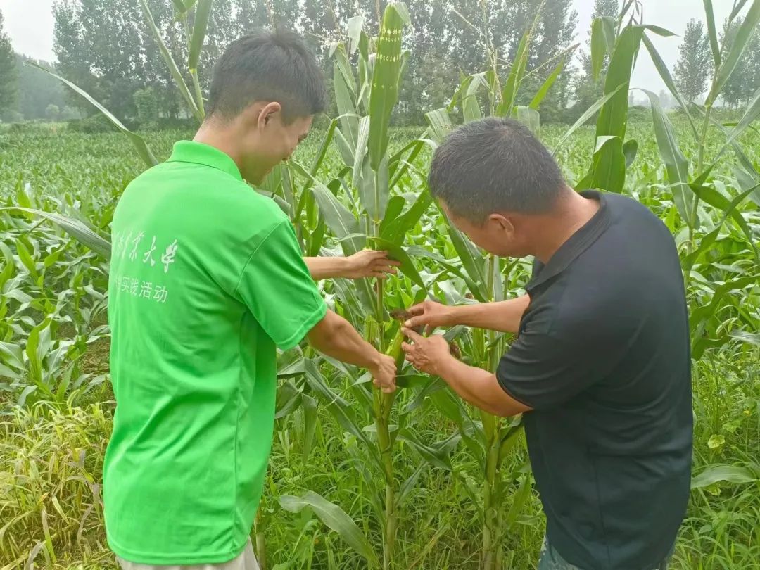 ���ߵ����˿��ֽ�