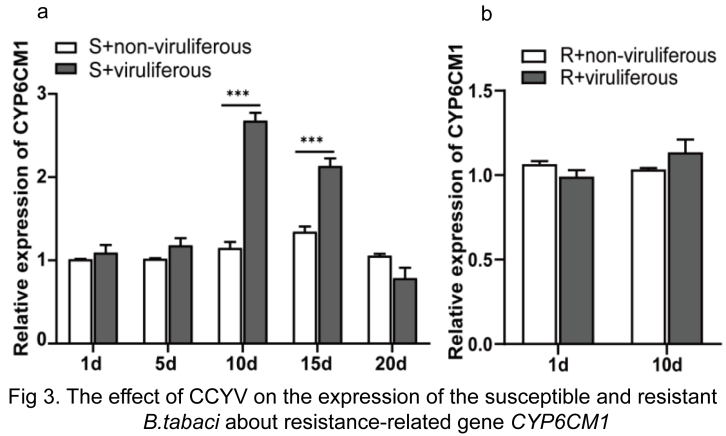 ���ߵ����˿��ֽ�