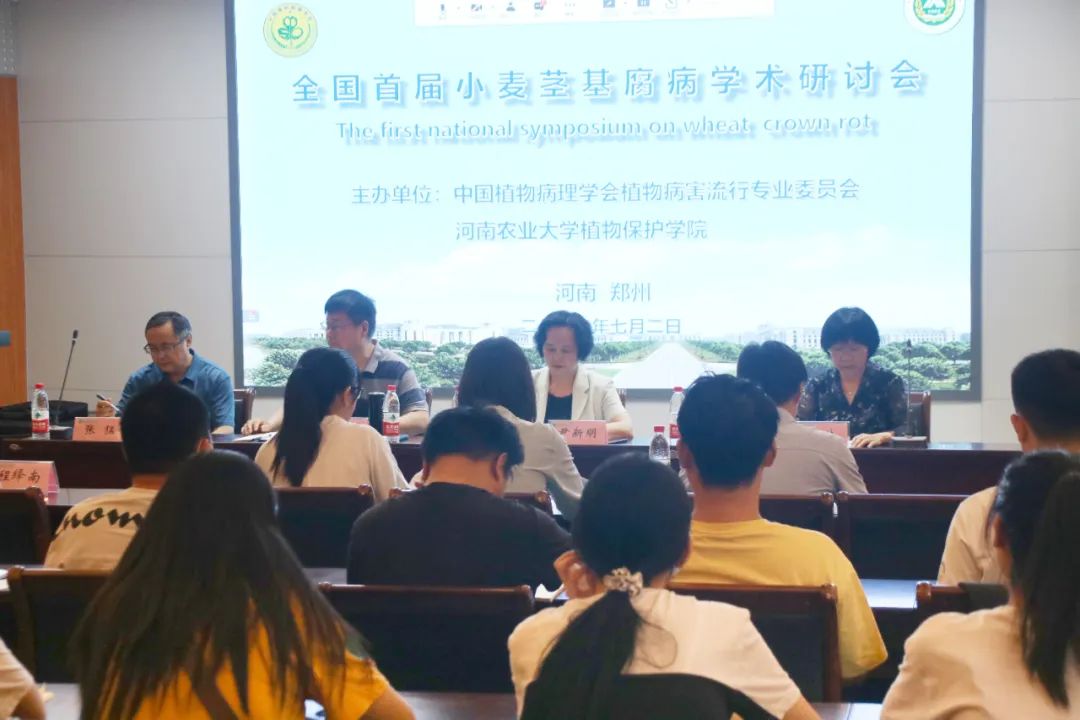 ���ߵ����˿��ֽ�