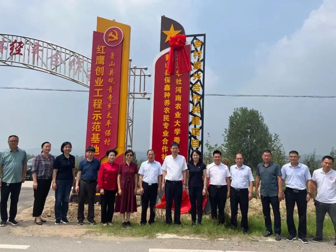 ���ߵ����˿��ֽ�