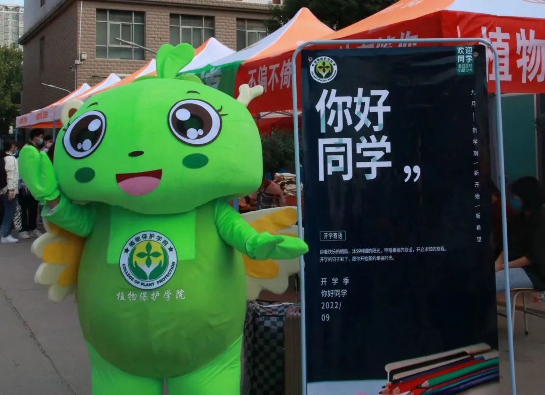 ���ߵ����˿��ֽ�