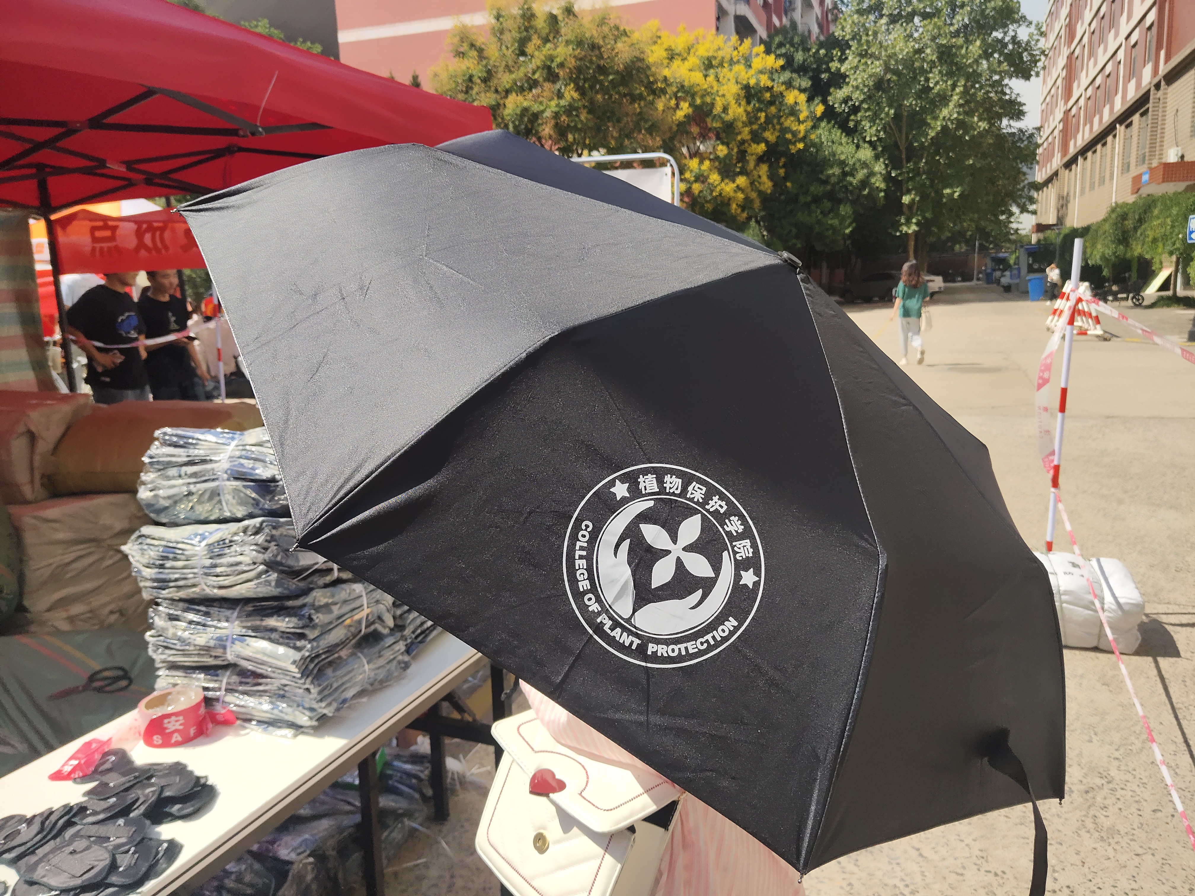 ���ߵ����˿��ֽ�