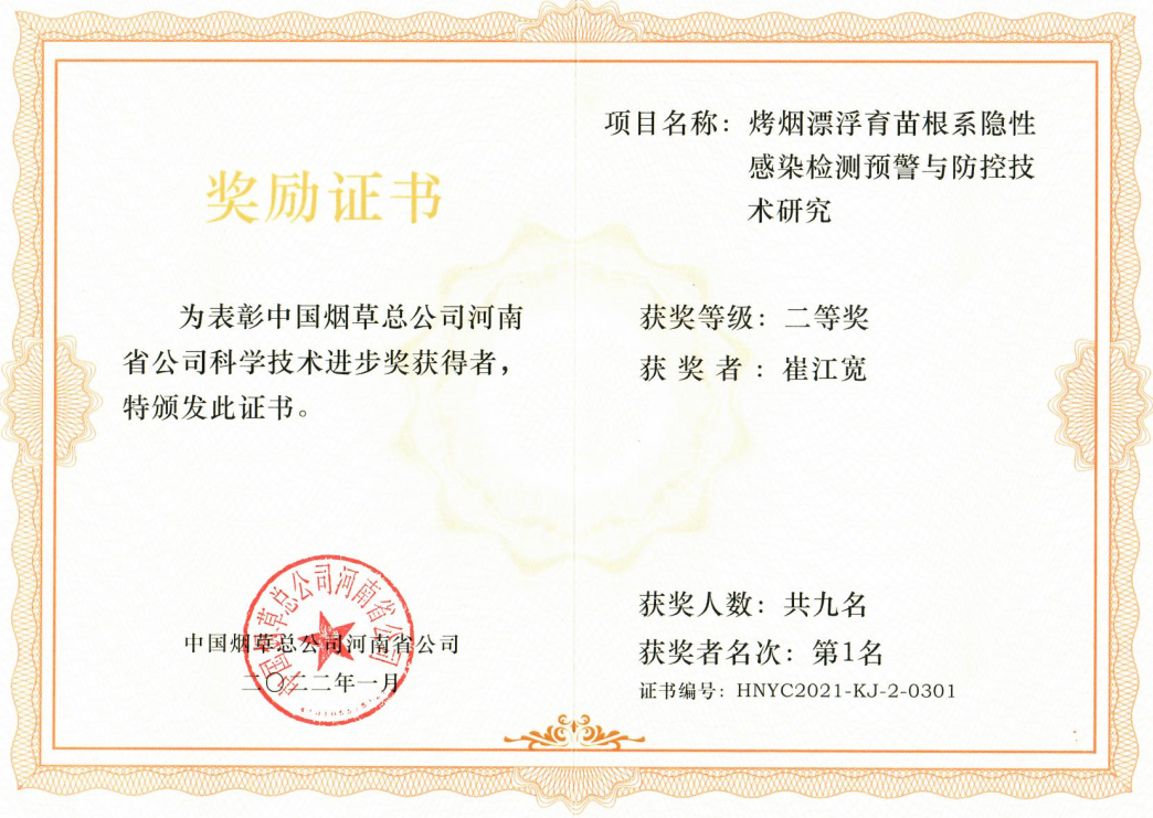 ���ߵ����˿��ֽ�