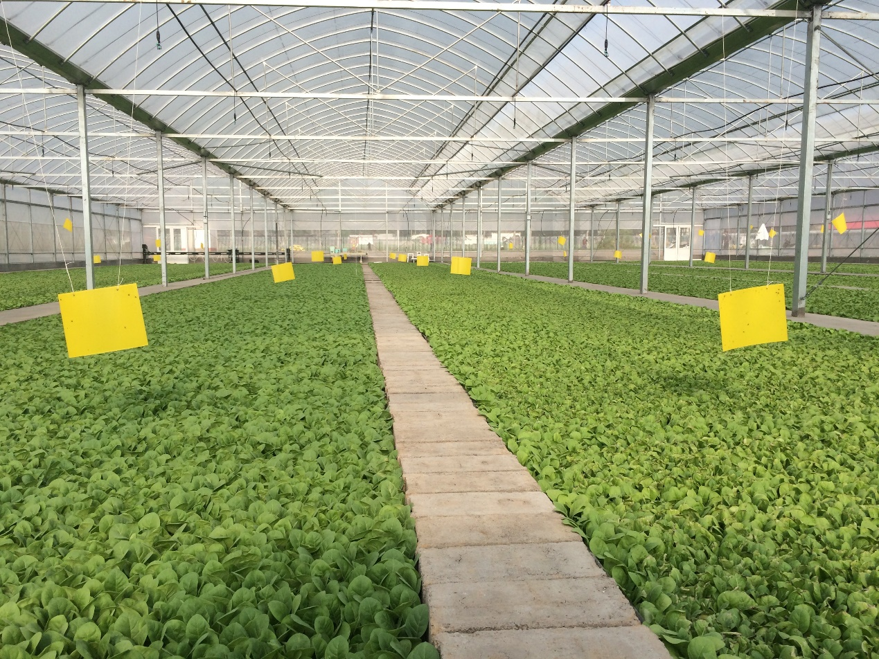 ���ߵ����˿��ֽ�