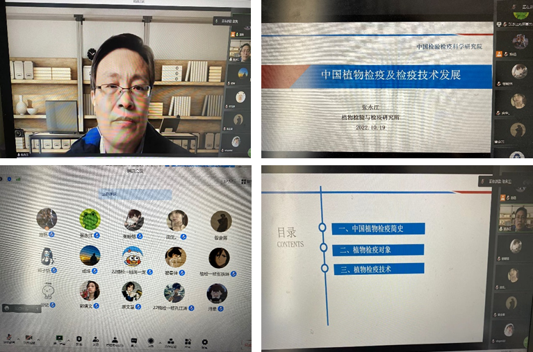 ���ߵ����˿��ֽ�