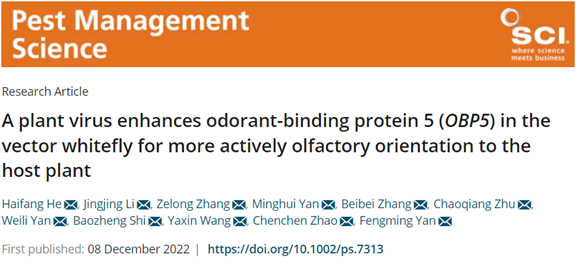 ���ߵ����˿��ֽ�