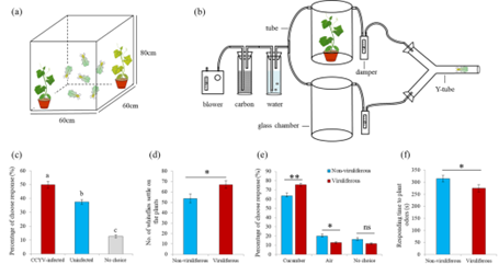 ���ߵ����˿��ֽ�