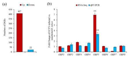 ���ߵ����˿��ֽ�