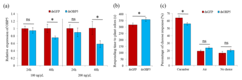 ���ߵ����˿��ֽ�