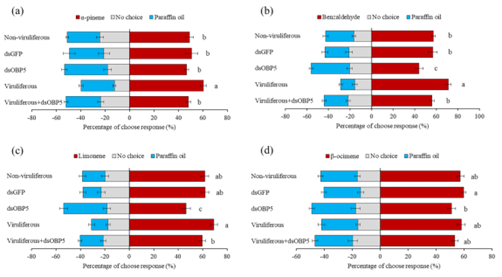 ���ߵ����˿��ֽ�