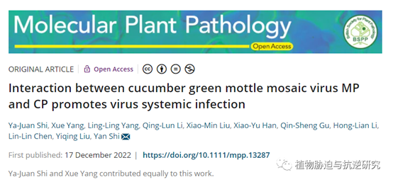 ���ߵ����˿��ֽ�