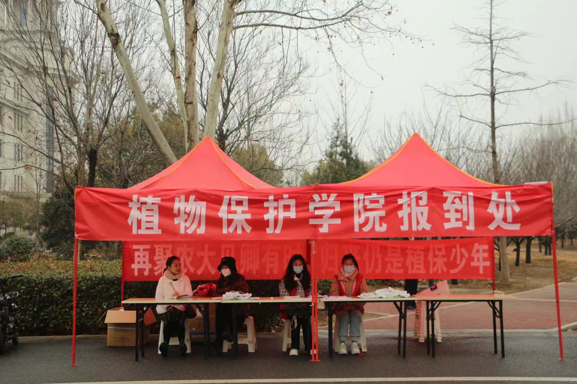 ���ߵ����˿��ֽ�