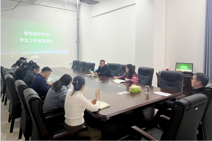 ���ߵ����˿��ֽ�