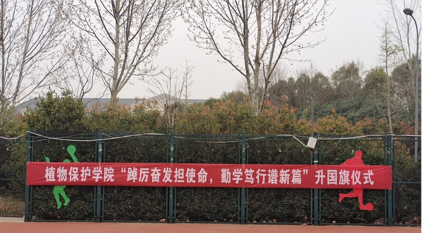 ���ߵ����˿��ֽ�