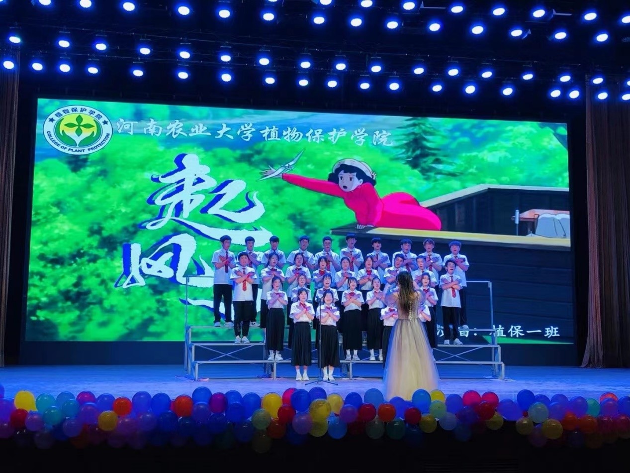 ���ߵ����˿��ֽ�