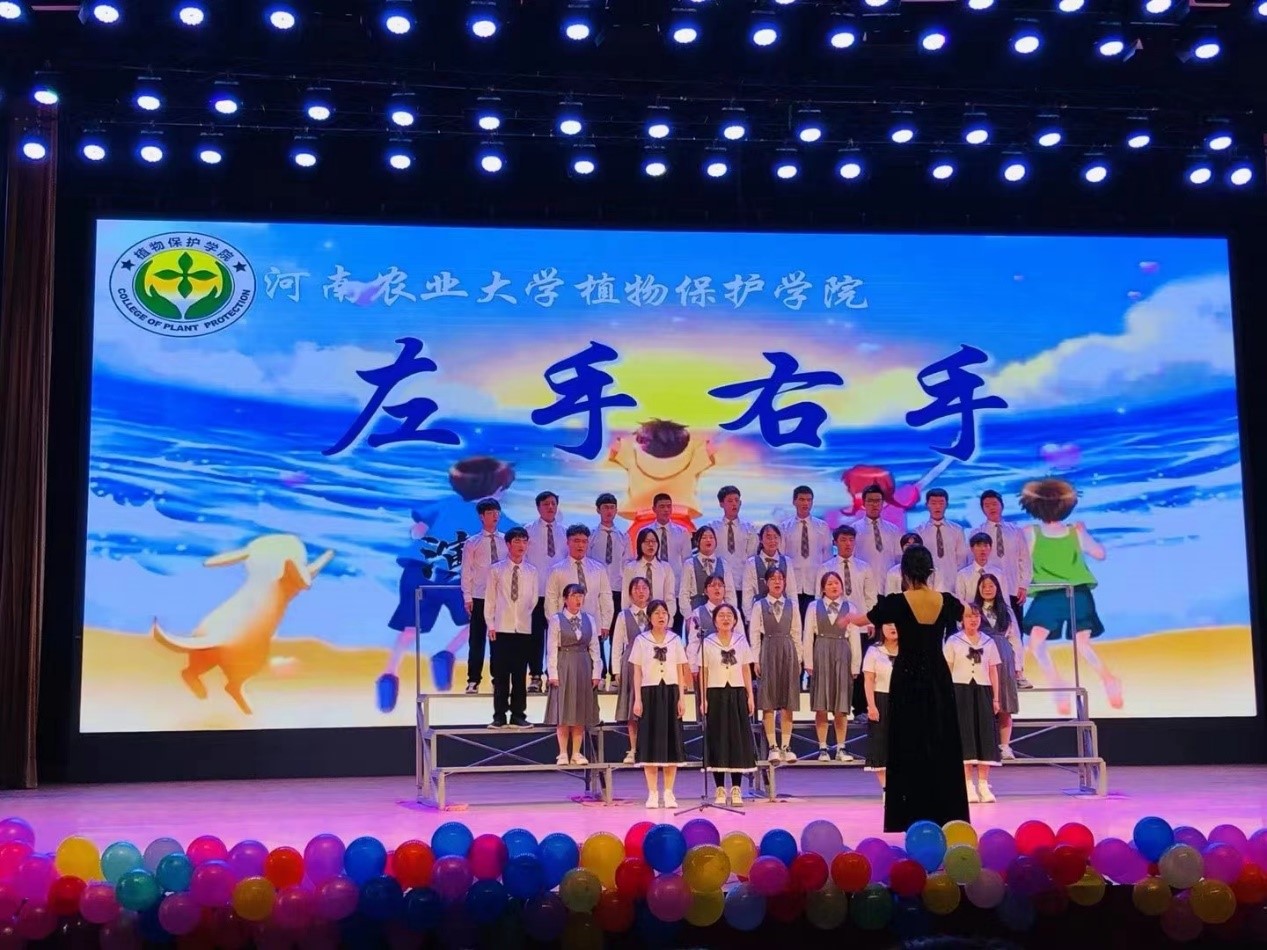 ���ߵ����˿��ֽ�