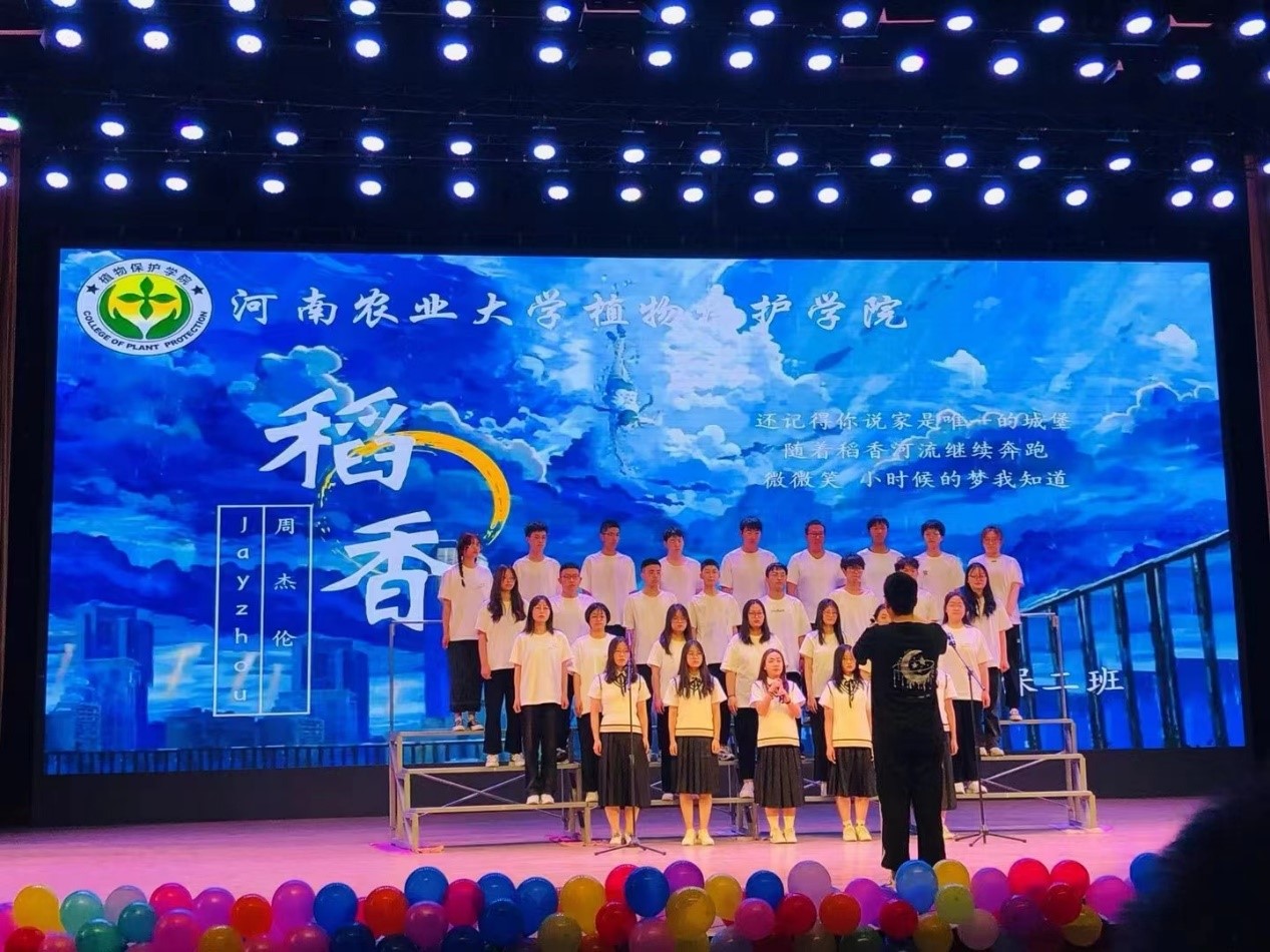 ���ߵ����˿��ֽ�