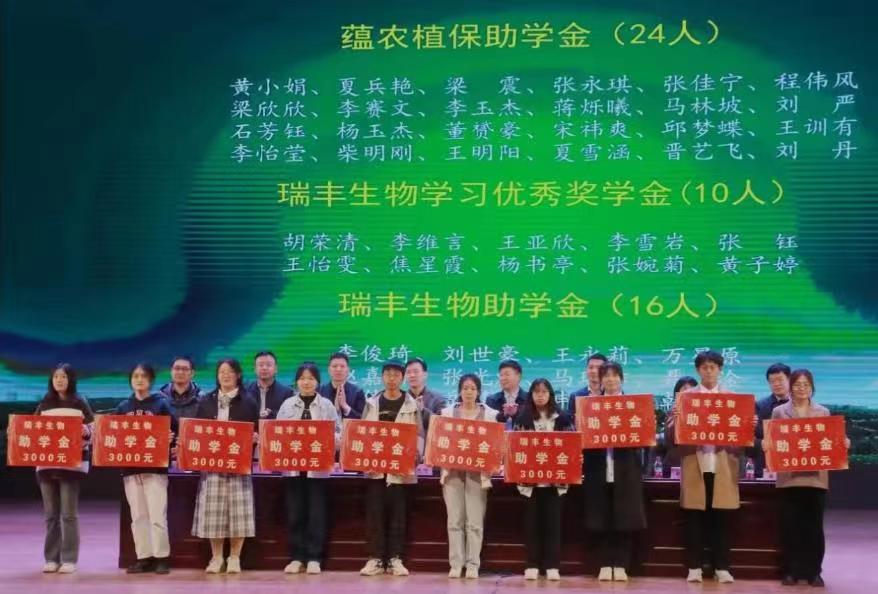 ���ߵ����˿��ֽ�