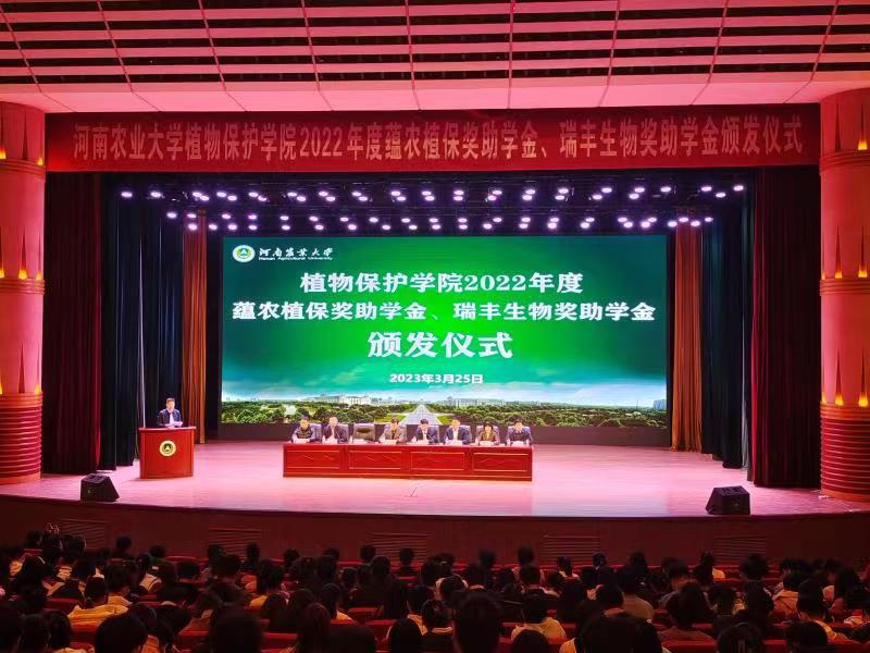 ���ߵ����˿��ֽ�