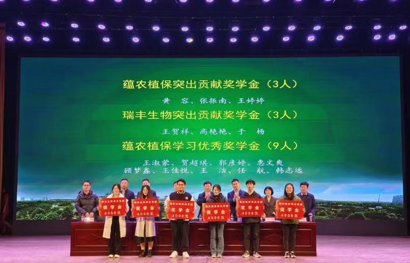 ���ߵ����˿��ֽ�