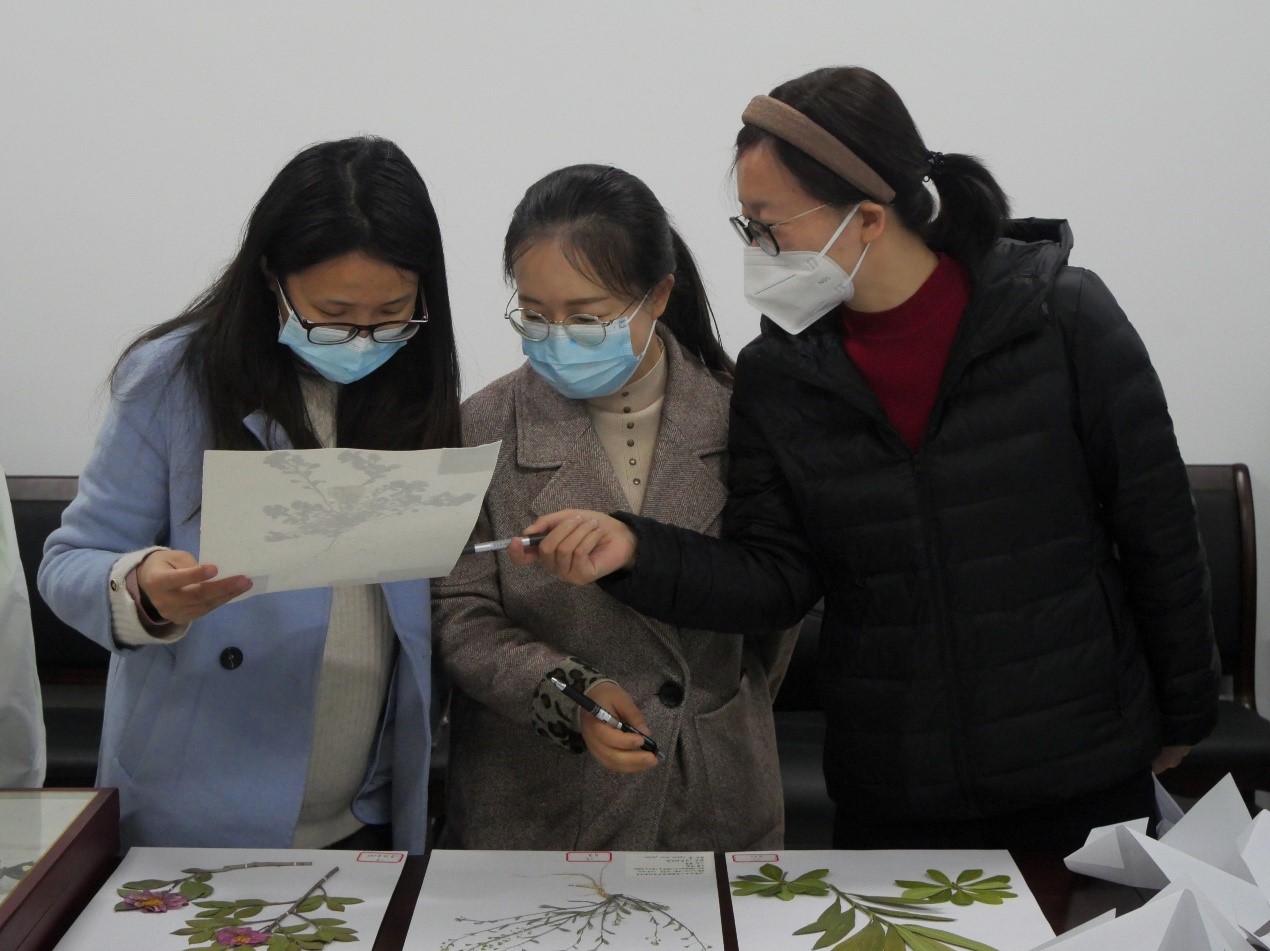 ���ߵ����˿��ֽ�