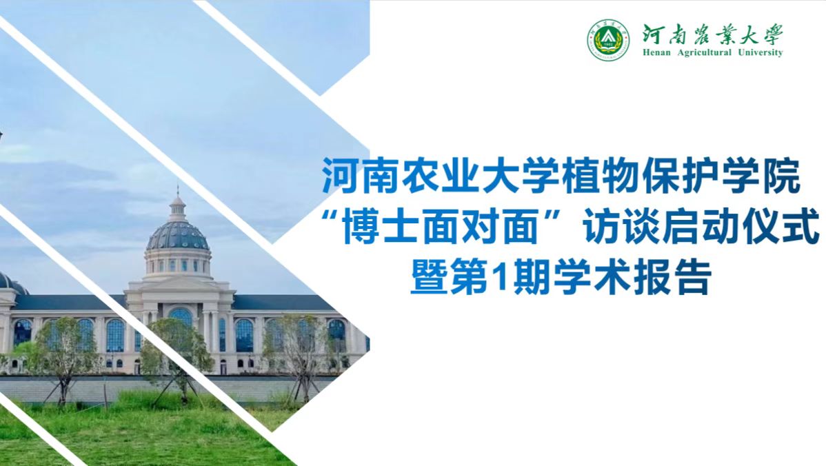 ���ߵ����˿��ֽ�