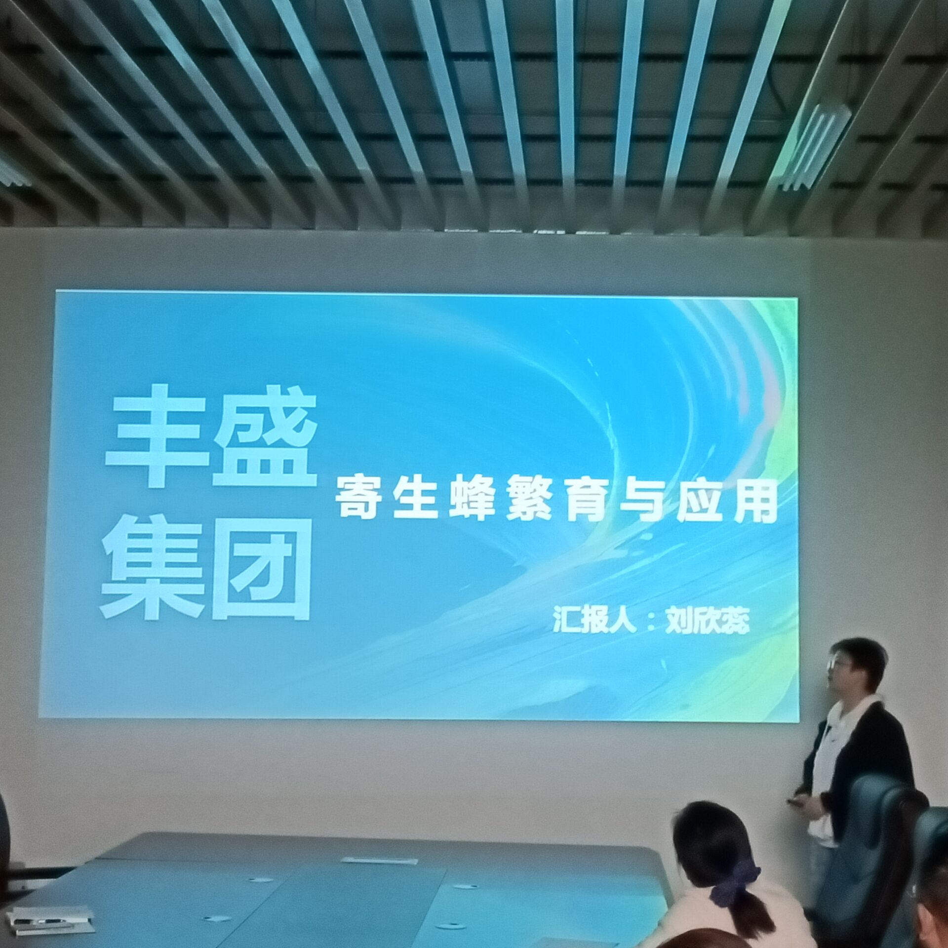 ���ߵ����˿��ֽ�