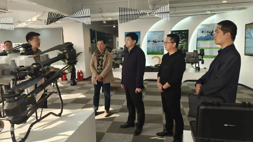 ���ߵ����˿��ֽ�