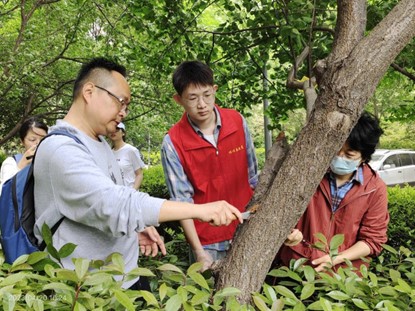 ���ߵ����˿��ֽ�