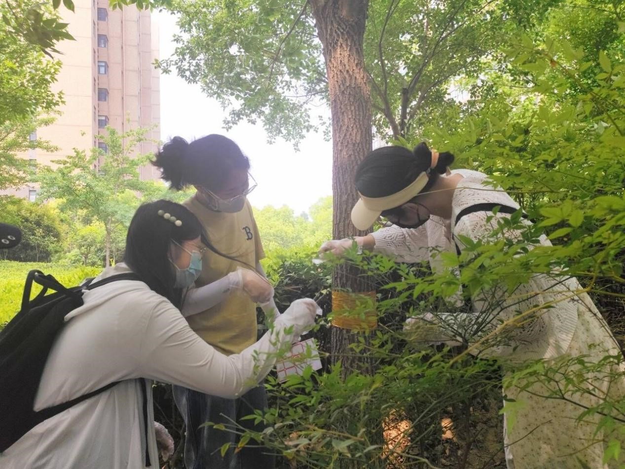 ���ߵ����˿��ֽ�