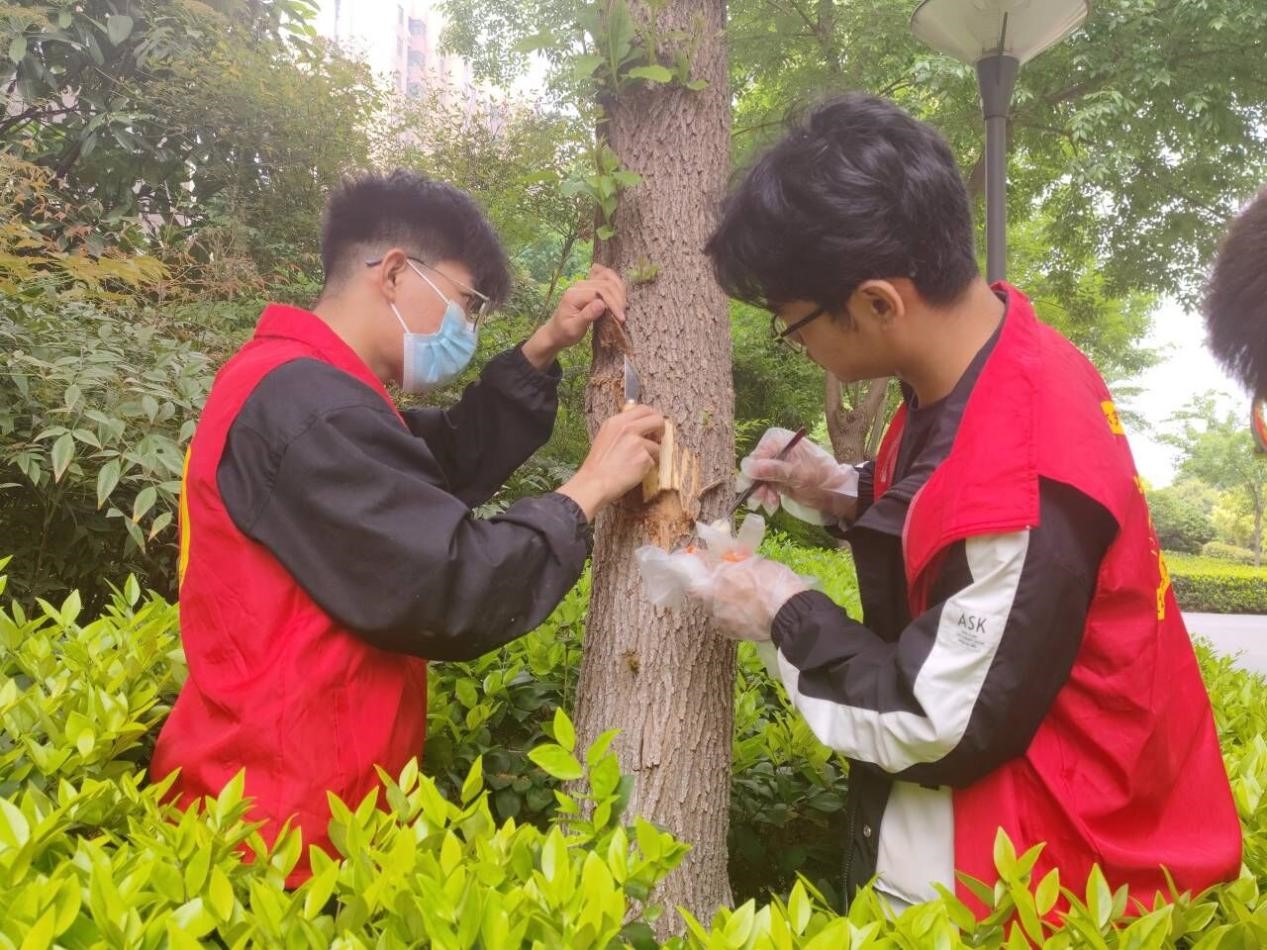 ���ߵ����˿��ֽ�